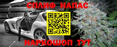 МДПВ Беслан